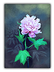 peony poster art print japanese style