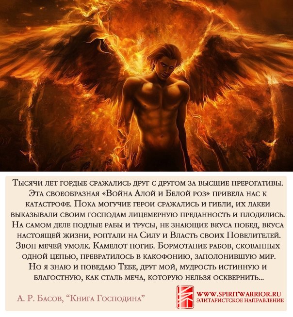 вкус жизни сила власть трусы рабы катастрофа цитата книга господина басов вкус жизни сила власть трусы рабы катастрофа цитата книга господина басов
